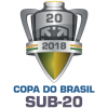 Copa do Brasil -20